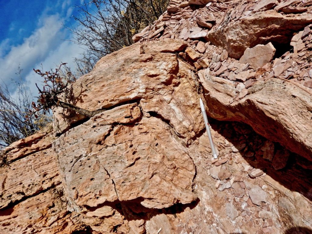 tengiz-field-reservoirs-paradox-basin-carbonates-williston-basin-carbonates-algal-mounds-waulsortian-mounds-stromatolites-thrombolites-stevensite-shrubs-brazil-carbonates