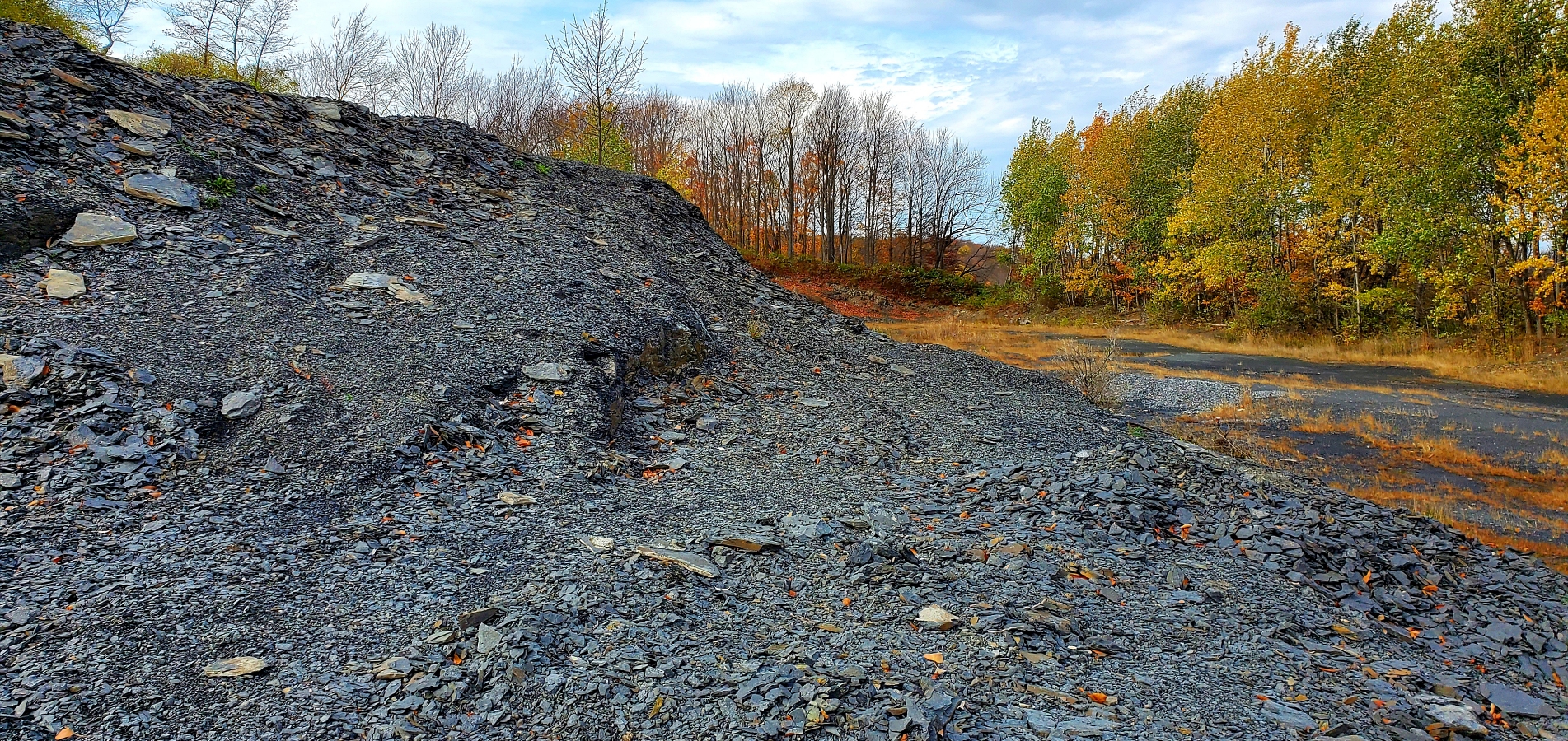 shale reservoirs consulting and training shale reservoirs consulting and training