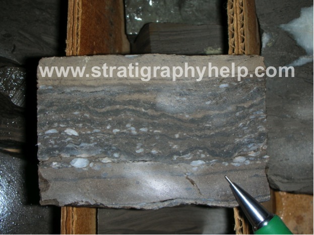 Bakken Formation Three