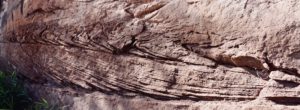 Sedimentology: Core Description and Thin-Section Analysis – Applied ...