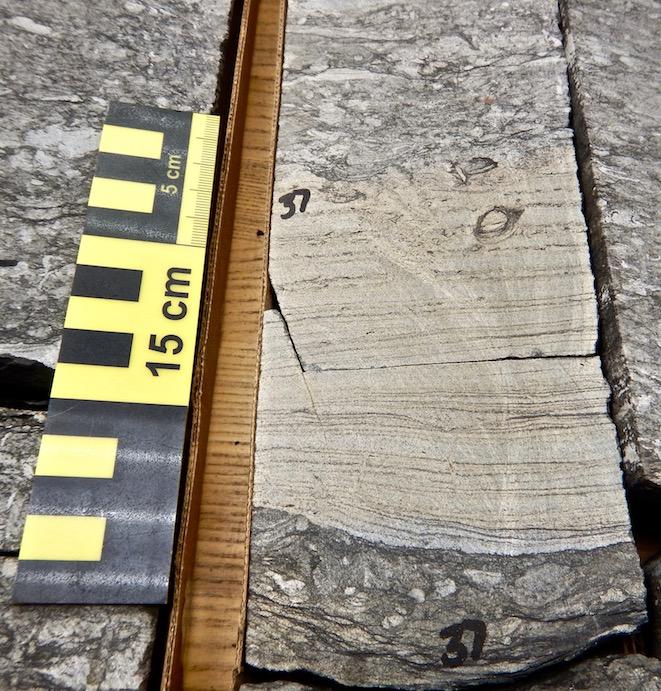 hummocky-cross-stratification-core-sedimentary-structures-core-description-clastic-core-core-workshop-www.stratigraphyhelp.com_